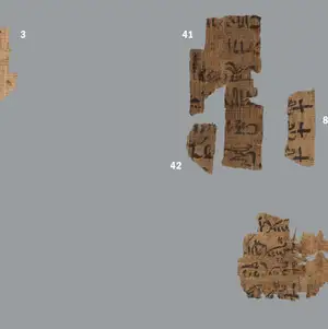 Turin king list papyrus column 2