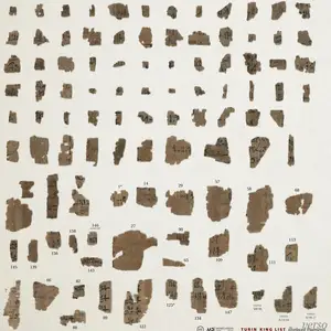 The fragments that make up this papyrus.