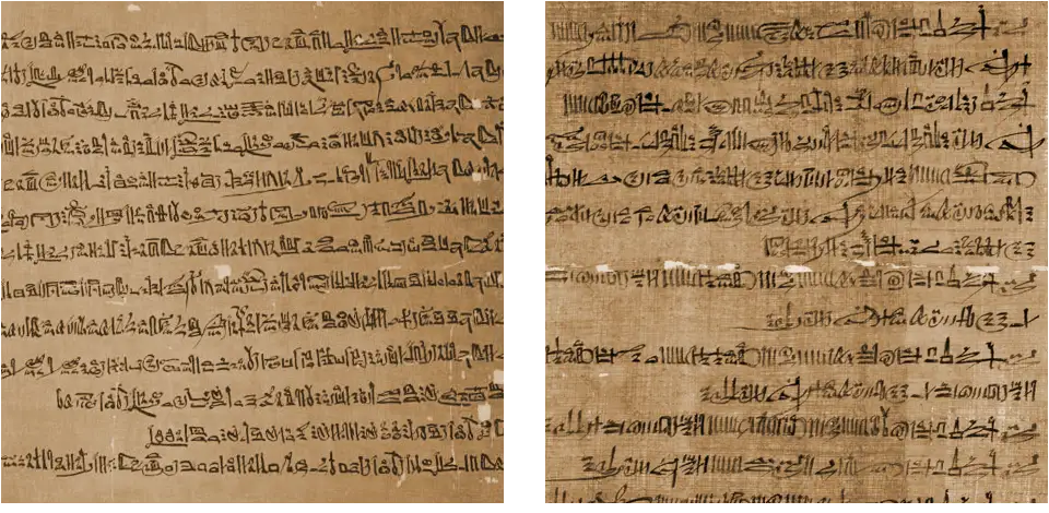 Egyptian scripts