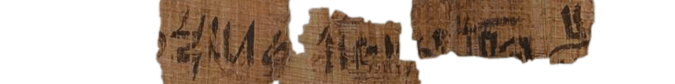 photo of the hieratic text